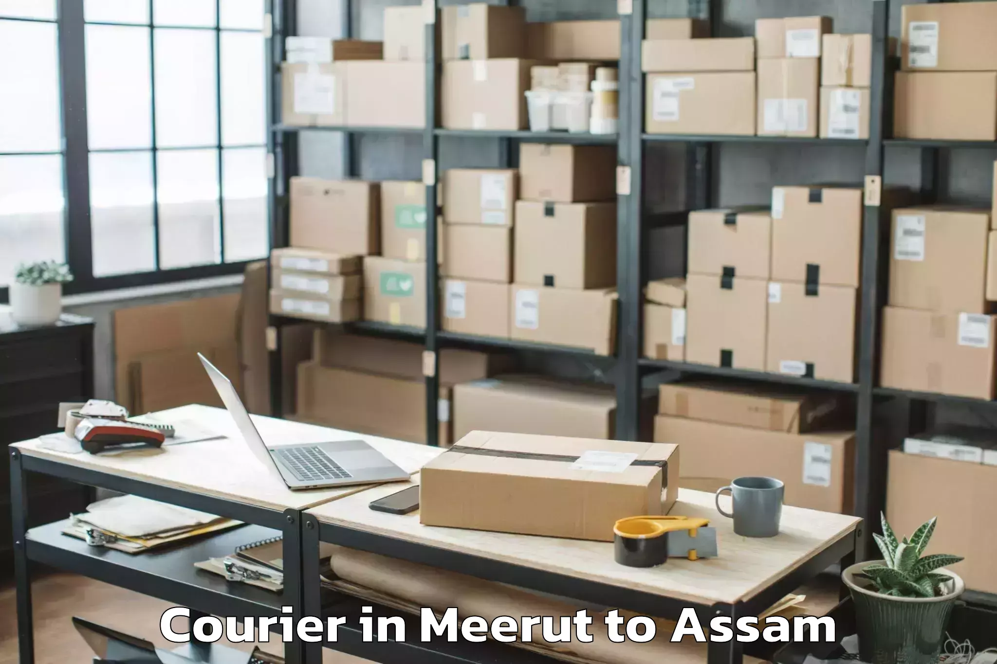 Book Meerut to Udarbond Courier